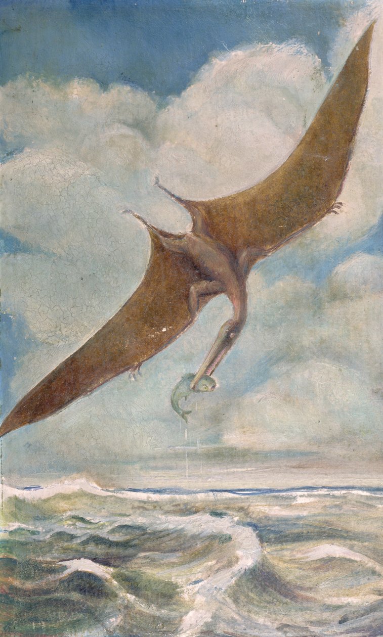 Łowienie pterodaktylów autorstwa French School