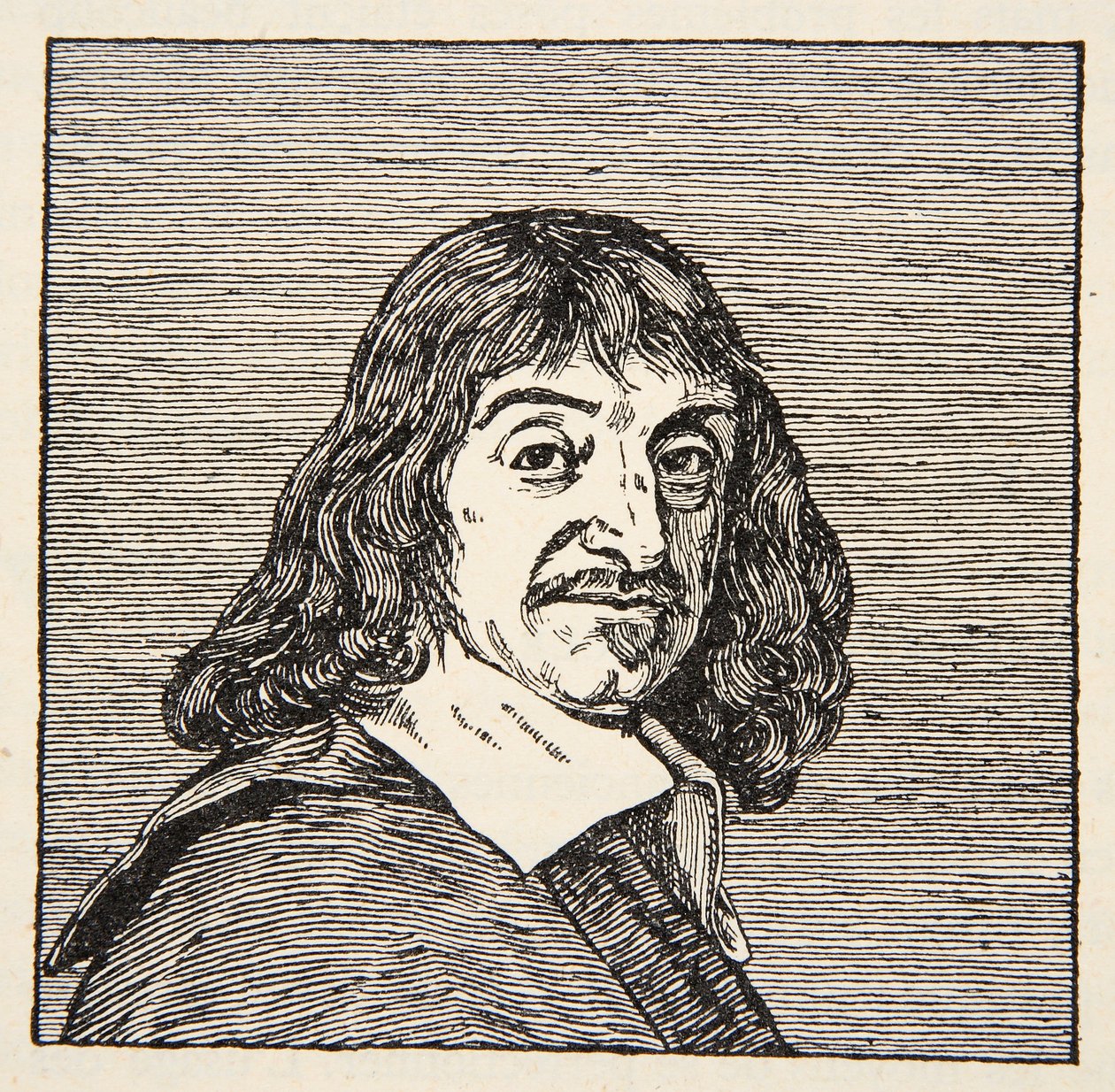 Rene Descartes, kopia Borisa Mestchersky
