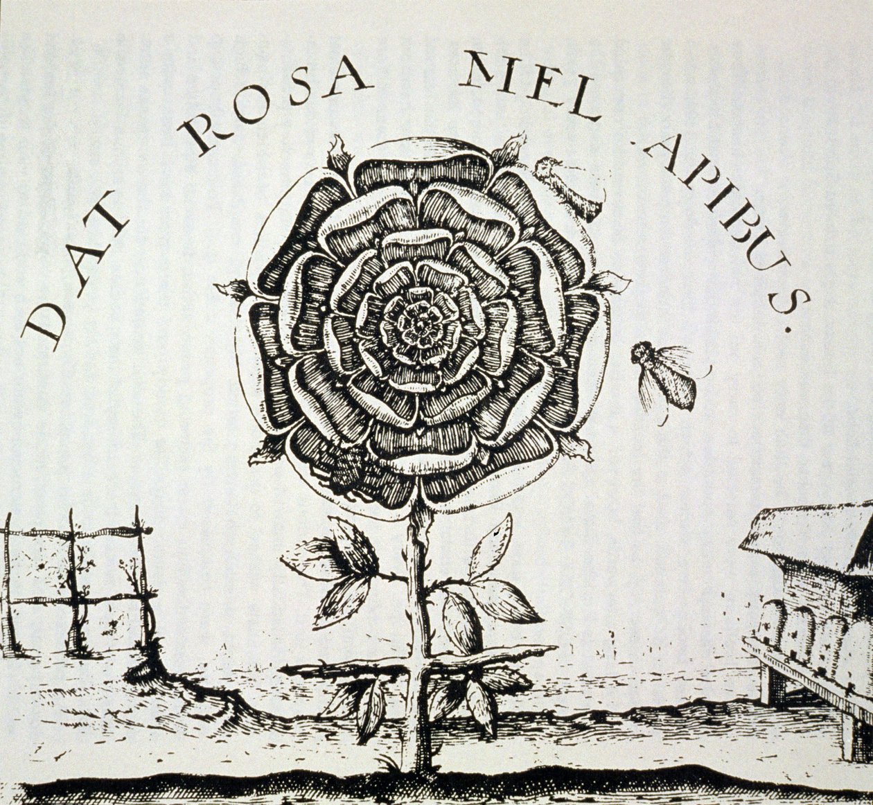 Alegoria różokrzyżowców, kopia ryciny Johanna Theodore de Bry (ok. 1598), wykorzystana w Historii magii, wydanej pod koniec XIX wieku autorstwa French School