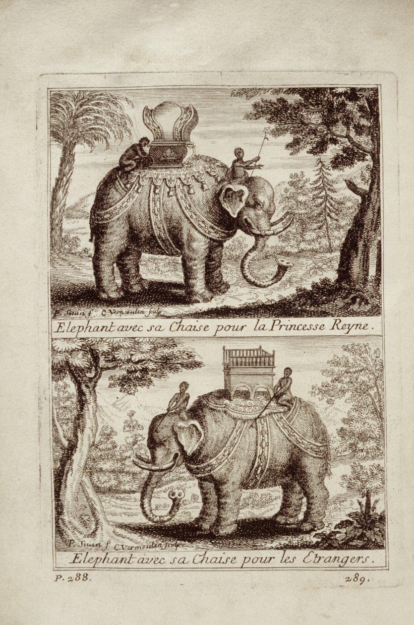Słonie królewskie, z Voyage du Siam des Peres Jesuites autorstwa Guya Tacharda, 1688 autorstwa French School