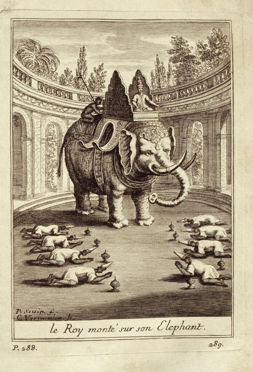Słonie królewskie, z Voyage du Siam des Peres Jesuites autorstwa Guya Tacharda, 1688 autorstwa French School