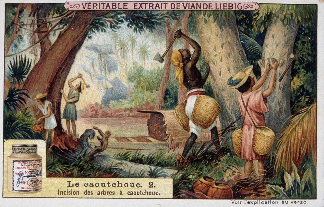 Guma: nacięcie wałków gumowych - chromo Liébig. autorstwa French School