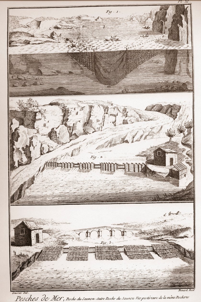 Techniki połowu łososia - Encyklopedia lub Słownik Nauk, Sztuki i Zawodów Denisa Diderota (1713-1784) i Jeana d