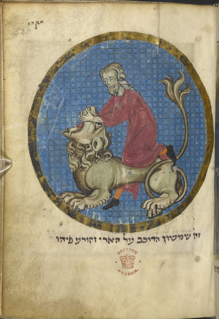Samson i lew, z północnofrancuskiego Miscellany, ok. 1280 (welum) autorstwa French School