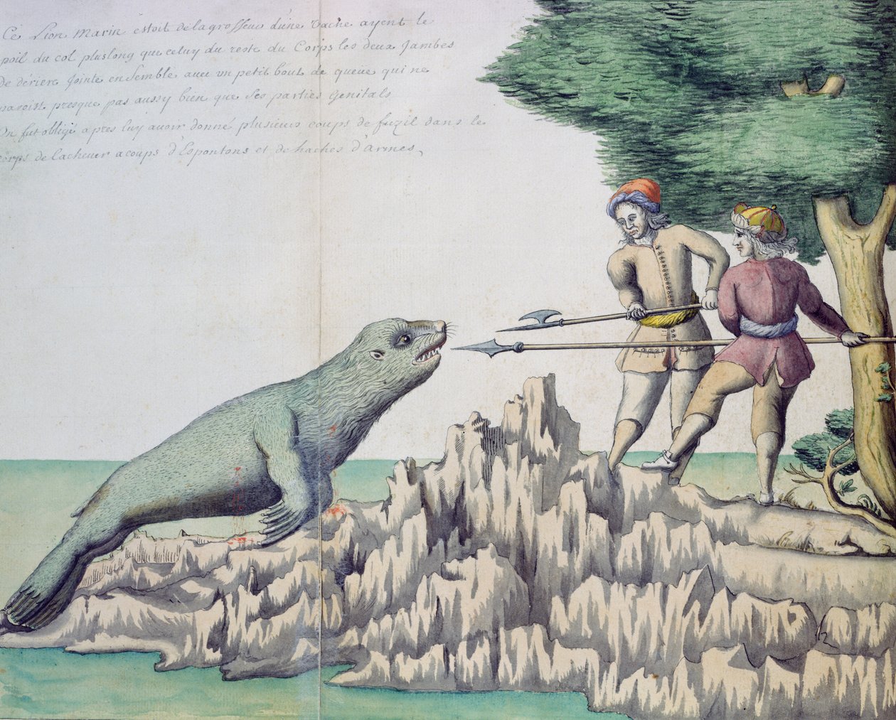 Lew morski w pobliżu Cieśniny Magellana (wc na papierze) autorstwa French School