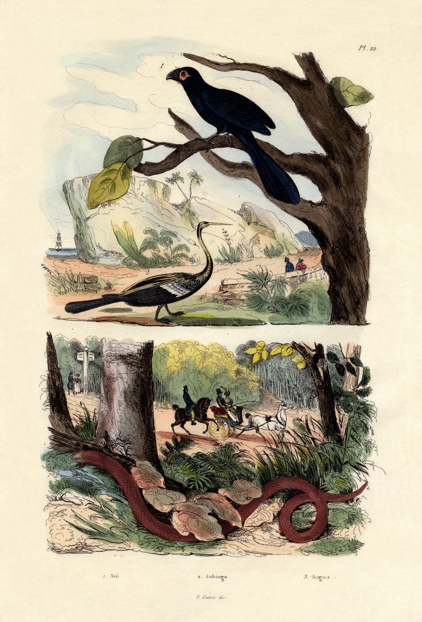 Ani o gładkim rachunku, 1833-39 autorstwa French School