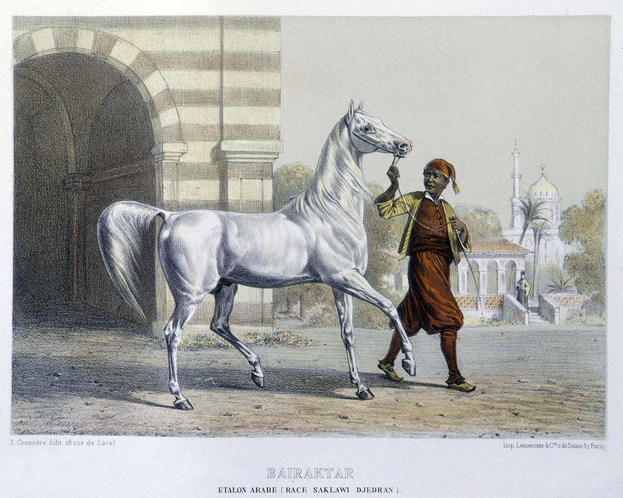 Stalon arabski, Bairaktar autorstwa French School