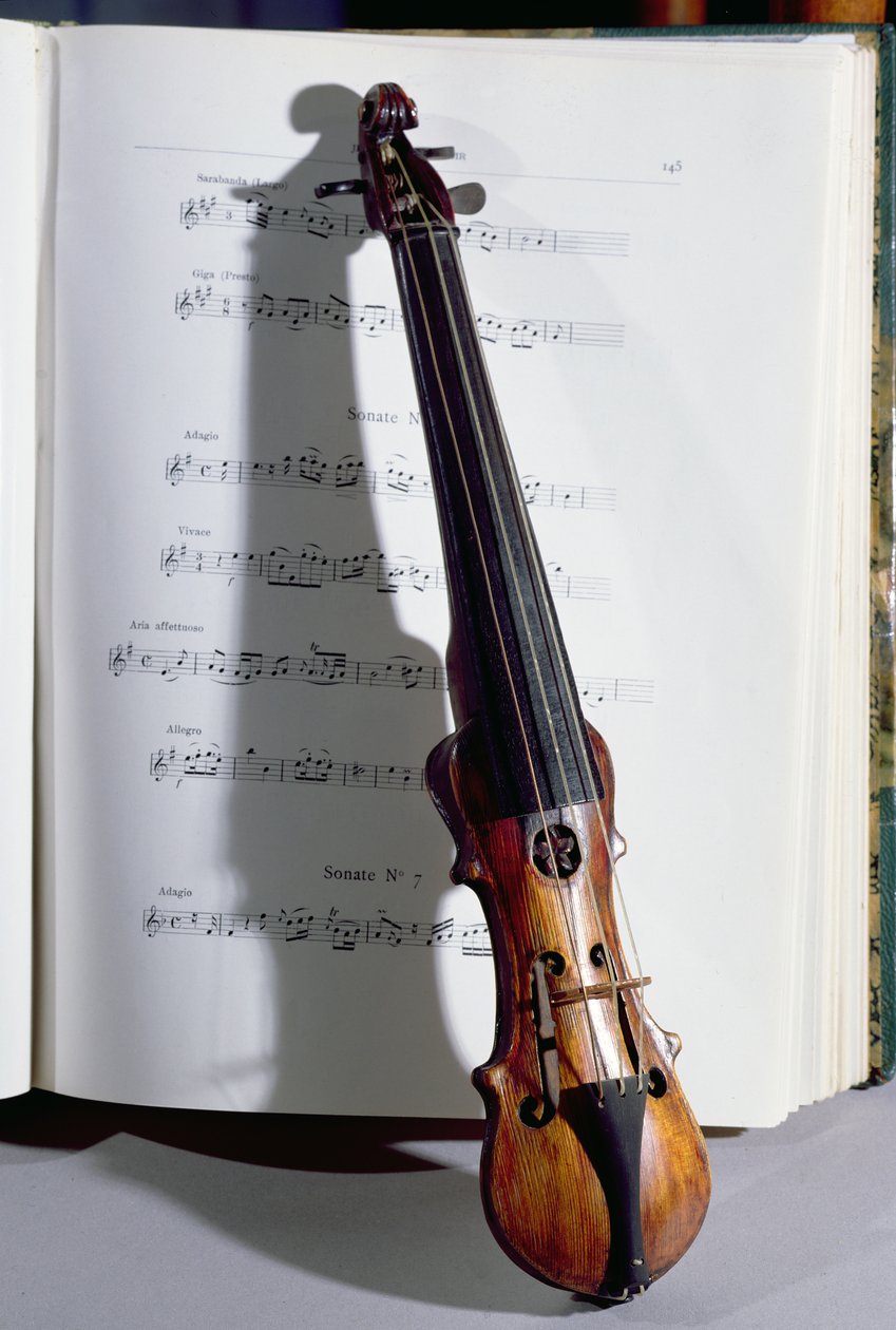 Instrument strunowy mistrza tańca, XIX w. (drewno) autorstwa French School
