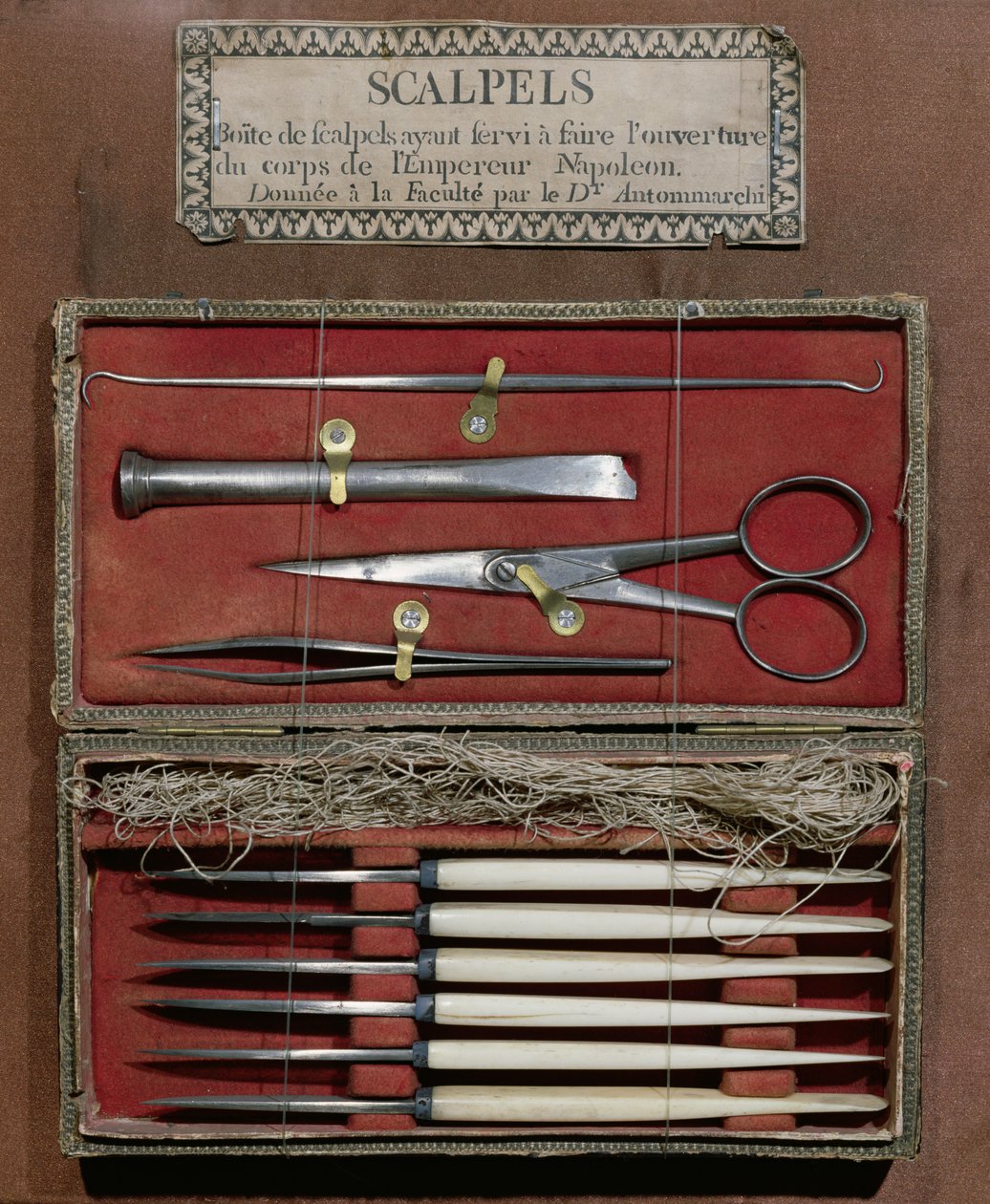 Instrumenty chirurgiczne używane przez doktora Antommarchi do sekcji cesarza Napoleona I (1769-1821) autorstwa French School