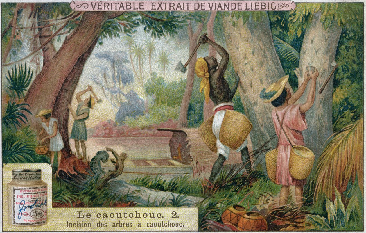 Podbijanie drzew kauczukowych, promocyjna karta reklamowa dla Veritable Extrait de Viande Liebig, koniec XIX wieku autorstwa French School