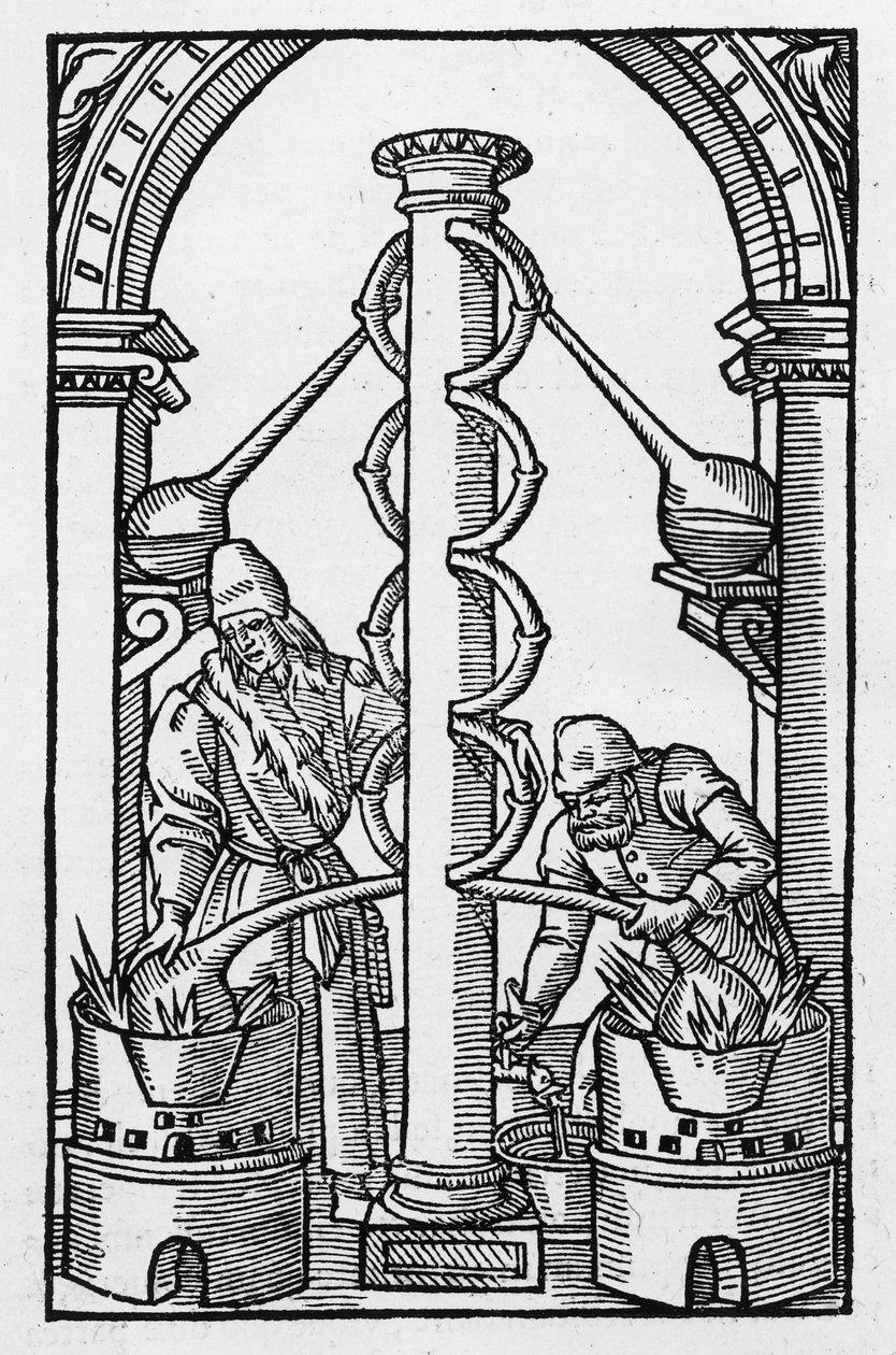 The Alchemist at Work, kopia ilustracji z „Coelum Philosophorum” Philippusa Ulstadiusa, Paryż 1544, wykorzystana w „Historii magii”, wydanej pod koniec XIX wieku autorstwa French School