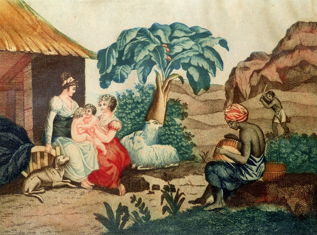 Dzieciństwo Paula i Virginie, z 