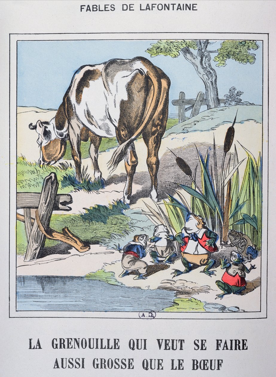 Żaba i wół z „Fables de La Fontaine” (kolorowy grawerunek) autorstwa French School