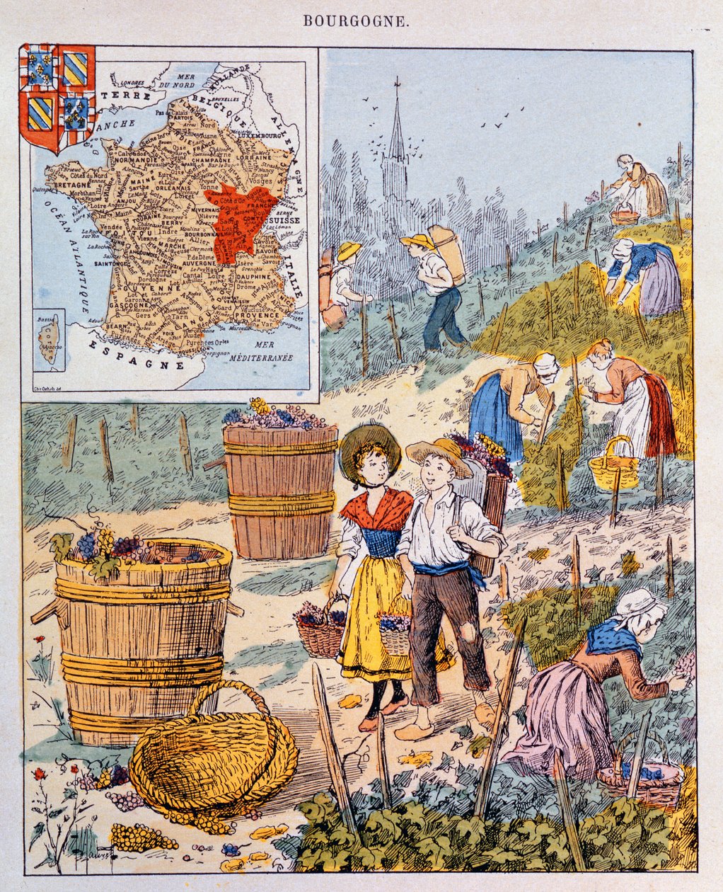 Winogron w Burgundii, ilustracja z podręcznika szkolnego, ok. 1910 r. autorstwa French School