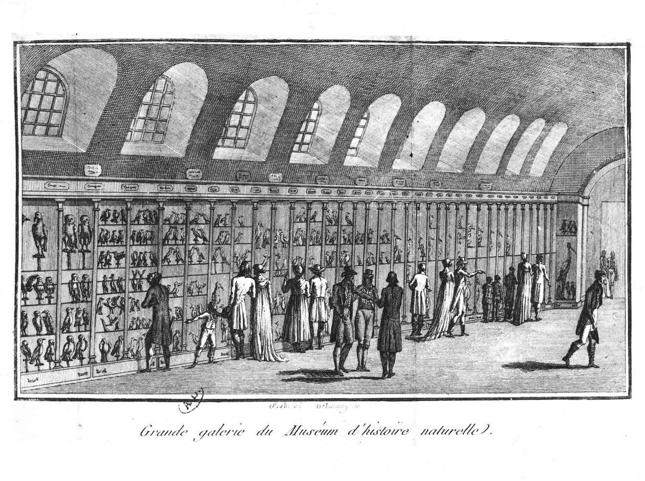 Wielka Galeria Muzeum Historii Naturalnej w Paryżu autorstwa French School