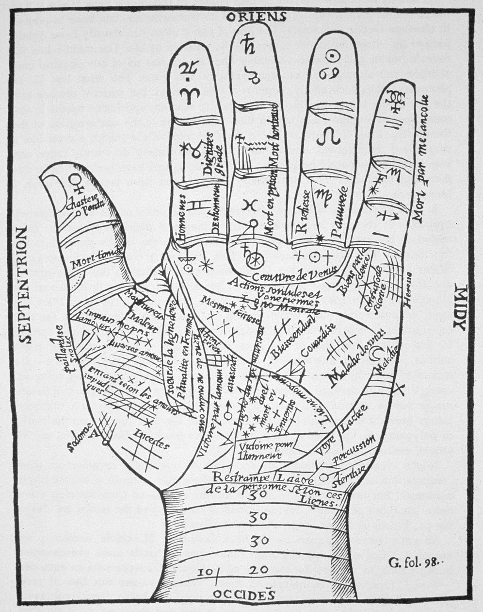 Lewa ręka, kopia diagramu według Jeana Belota, Oevres, Lyon 1649, wykorzystana w Historii magii, wydanej pod koniec XIX wieku autorstwa French School