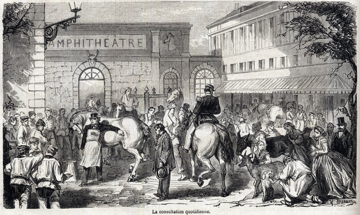 Państwowa Szkoła Weterynaryjna w Alfort - Les grandes écoles de France - Szkoła weterynaryjna Maison Alfort w 1866 r. - Codzienna konsultacja - Grawerowanie w „Le monde illustrious” z 1866 r. autorstwa French School