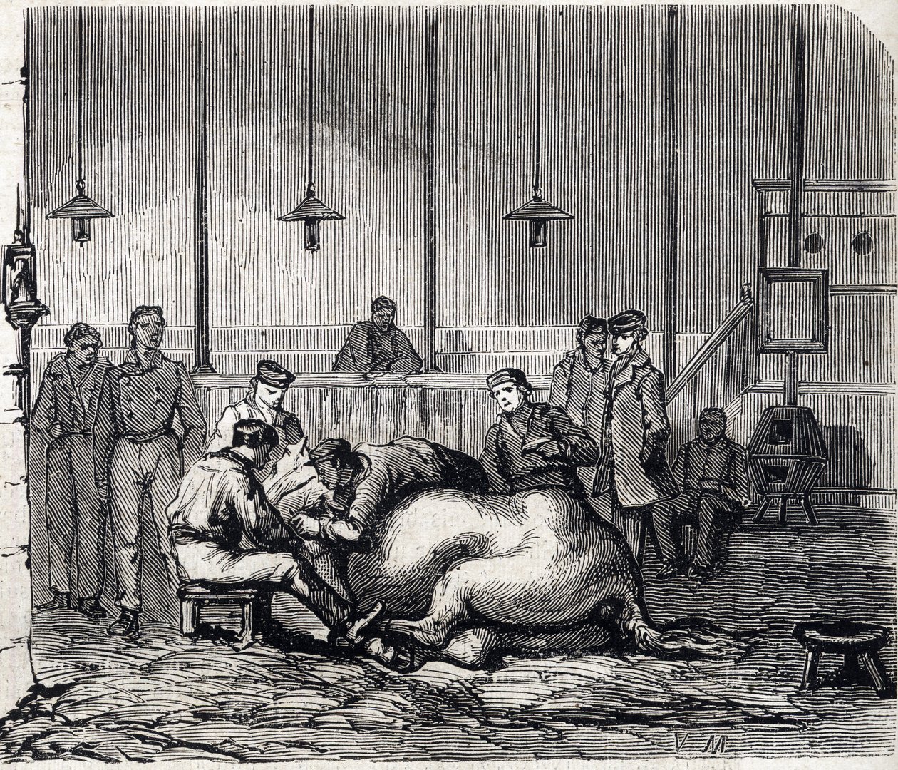 Narodowa Szkoła Weterynaryjna w Alfort - Les grandes écoles de France - Szkoła weterynaryjna Maison Alfort w 1866 r. - Prosektorium - Grawerowanie w „Le monde illustrious” z 1866 r. autorstwa French School