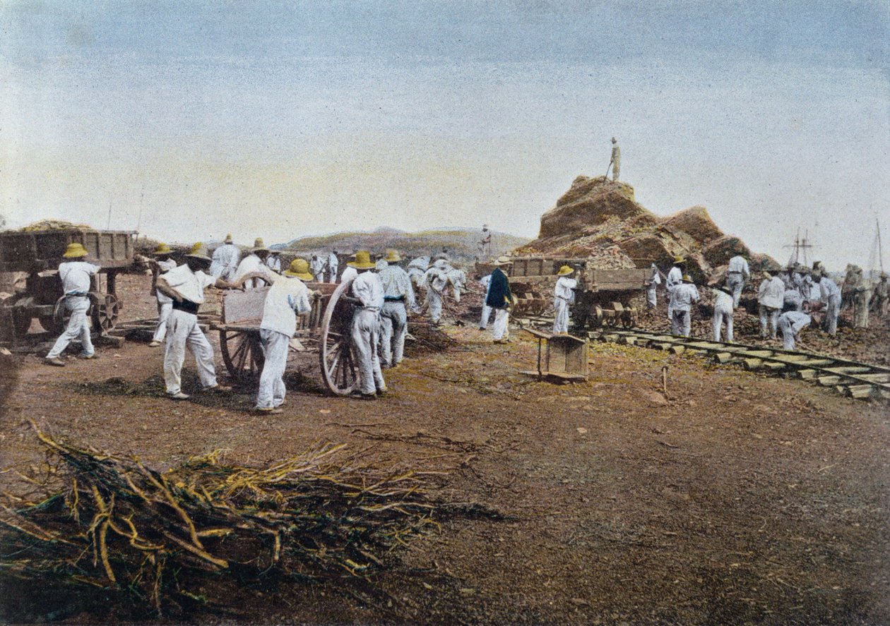 Więźniowie przy pracy w kolonii karnej Noumea w Nowej Kaledonii, grawerowane przez Gillota, ok. 1900 autorstwa French School