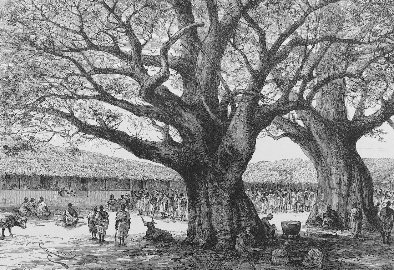 Rezydencja królewska w Aouabou, ilustracja z "Du Niger au Golfe de Guinee...", Louis Gustave Binger, 1892 autorstwa French School