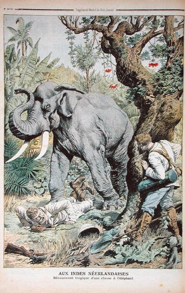 Tragiczny koniec polowania na słonie w Indiach, ilustracja z Le Petit Journal, 25 listopada 1906 r. autorstwa French School