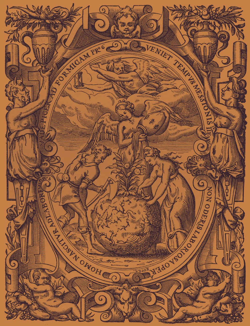 „Królestwo warzyw” autorstwa French School