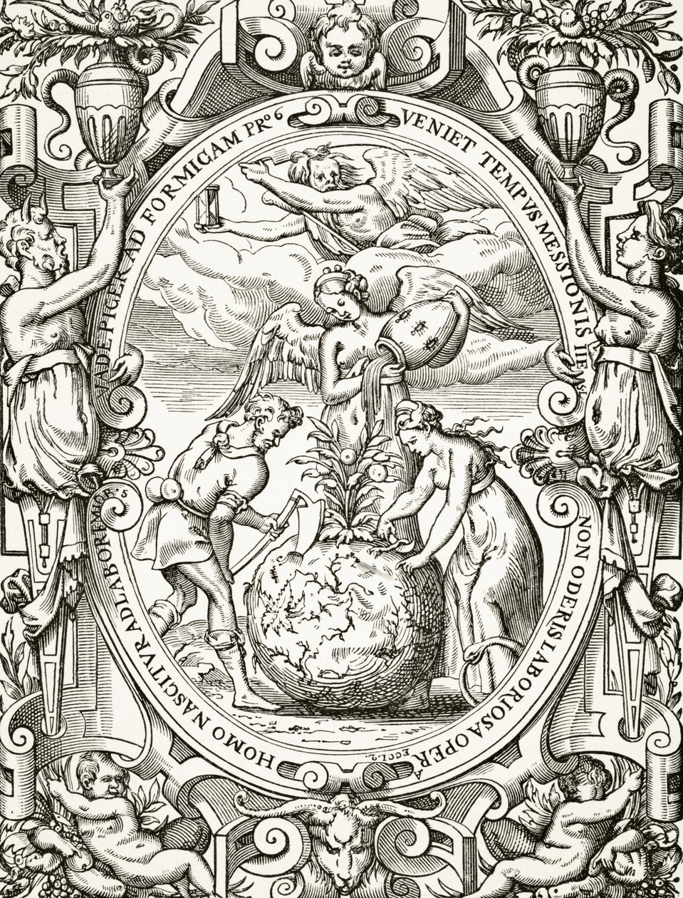 Królestwo warzyw, z Science and Literature in the Middle Ages Paula Lacroix (1806-84), opublikowane w Londynie 1878 autorstwa French School