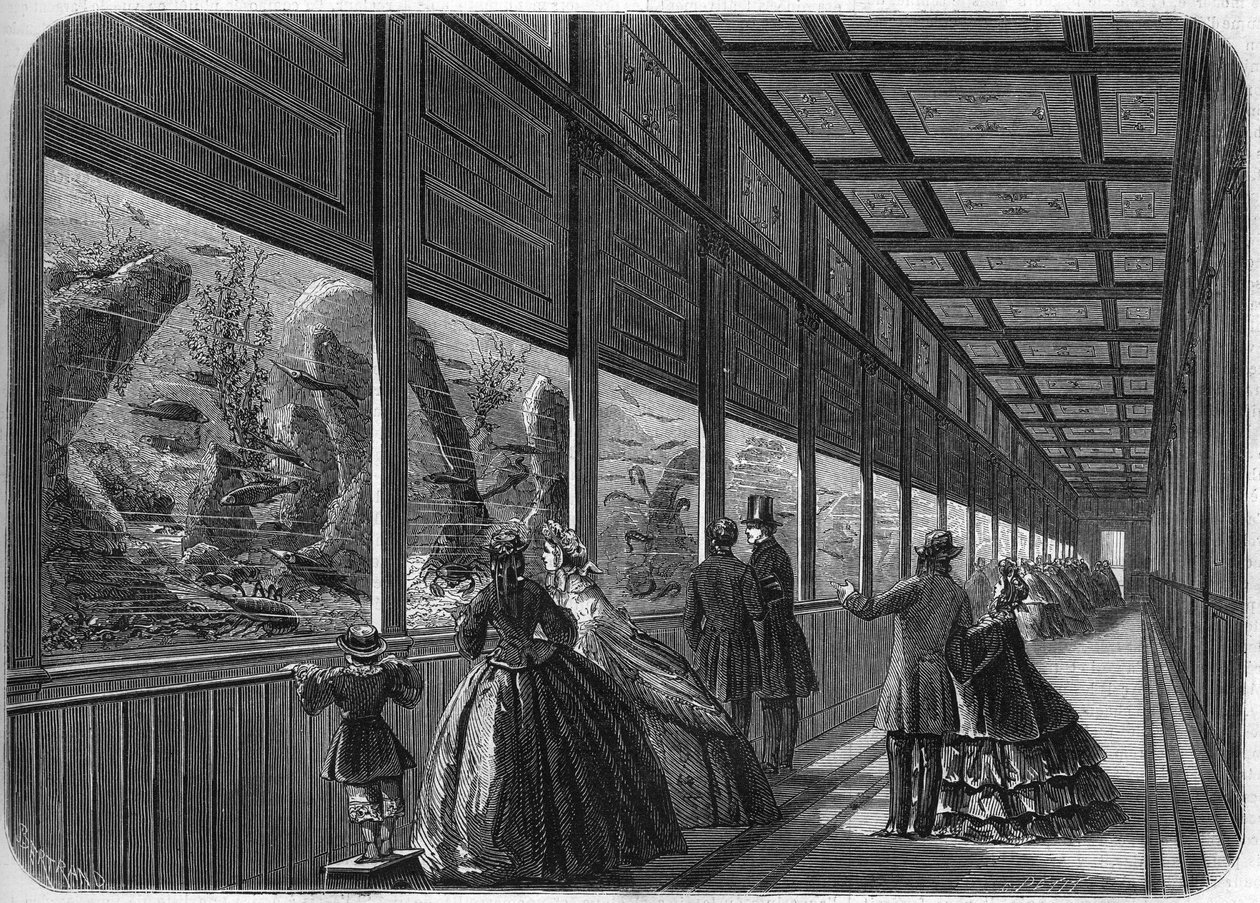 Akwarium ogrodu aklimatyzacyjnego w Paryżu w 1863 r. autorstwa French School