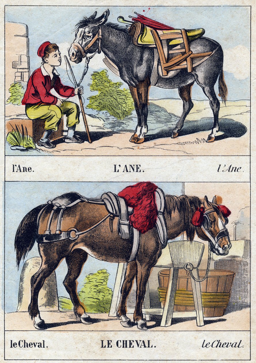 Osioł i koń. Grawerowanie w „Buffon Alphabet des Animaux”. III seria N 1. Obrazowanie Epinal, Epinal, koniec XIX wieku. 16 stron. Wymiary: 28x21cm autorstwa French School