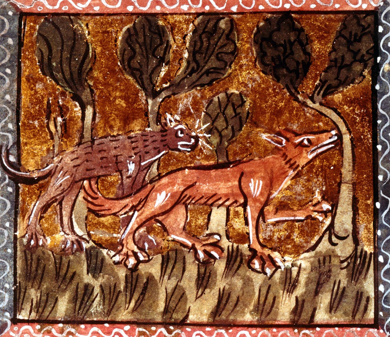 Lis i wilk, iluminacja z rękopisu Roman de Renart (Powieść o lisie), ok. XIII w. autorstwa French School
