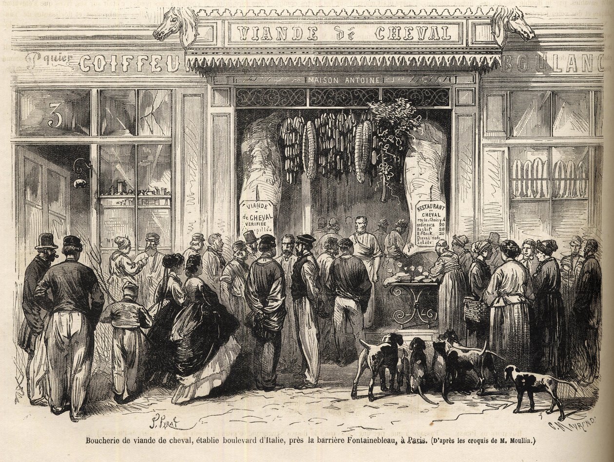 Zakład mięsny koni przy Barriere de Fontainebleau (Paryż) otwarty w 1866 roku - Butcherie chevaline - Boucherie Meat de Cheval Boulevard Włochy w pobliżu Barriere de Fontainebleau 1866) Grawerowanie w „Le monde illustrious” z 1866 autorstwa French School