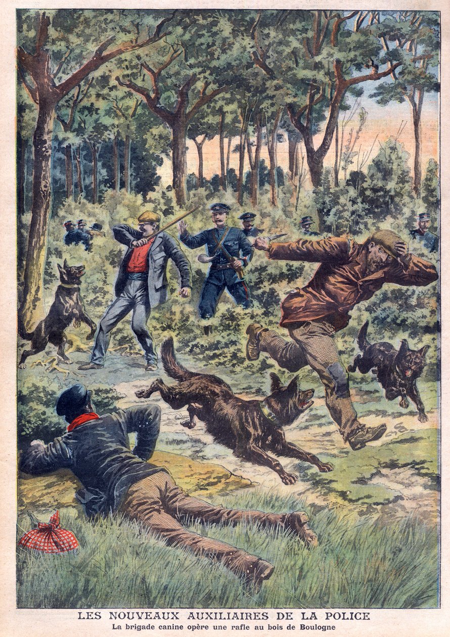 Nowe oddziały policyjne: brygada psów przeprowadza obławę w Bois de Boulogne, ilustracja z „Le Petit Journal” z 28 lipca autorstwa French School