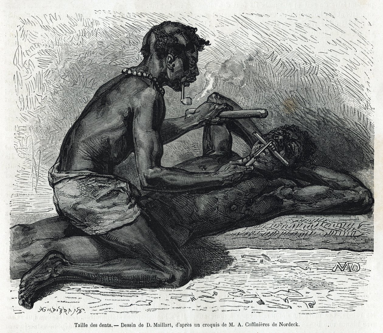 Wielkość zębów w Okandzie, rysunek D. Maillarda, ilustrujący historię wyprawy do Gabonu i rzeki Ogoue w latach 1875-1877 przez Alfreda Marche. Grawerowanie w Le tour du monde autorstwa French School