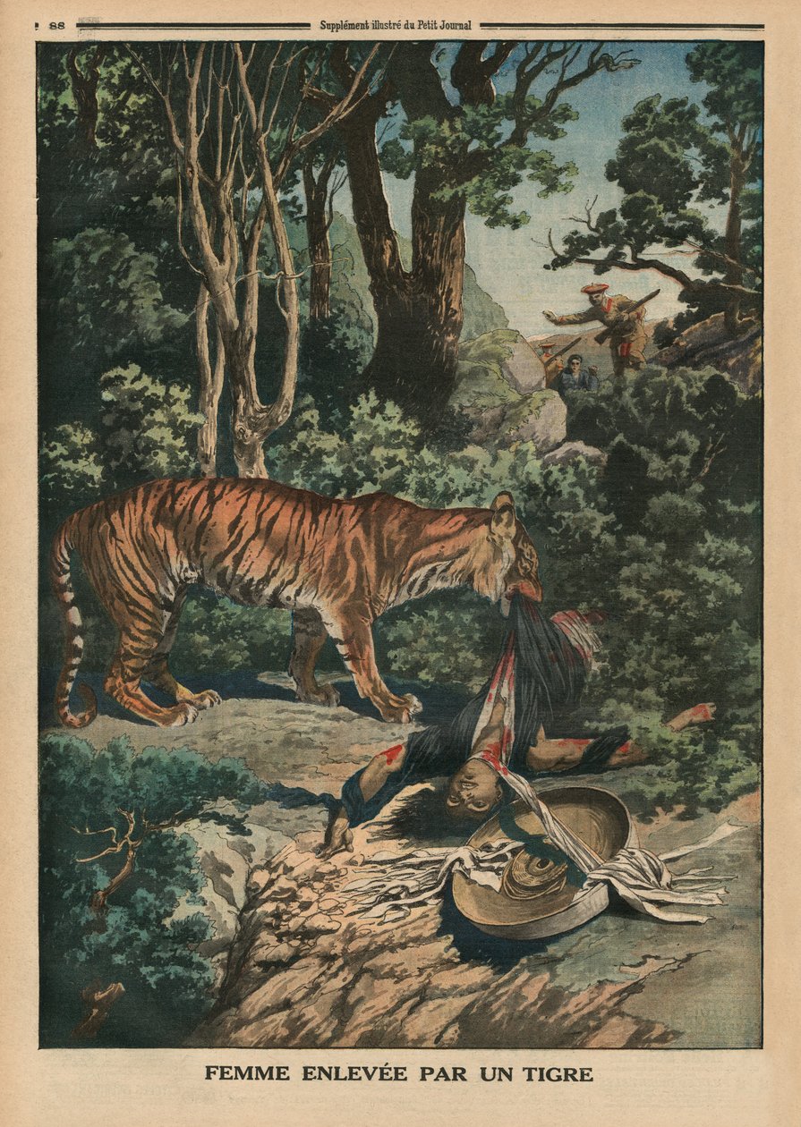 Tygrys atakujący kobietę, ilustracja na tylnej okładce z „Le Petit Journal”, dodatek illustre, 15 marca 1914 autorstwa French School