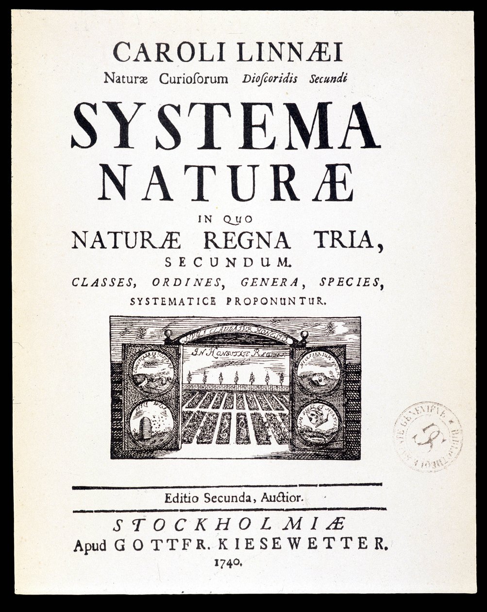 Strona tytułowa „Systemy naturalne” autorstwa Linneusza autorstwa French School