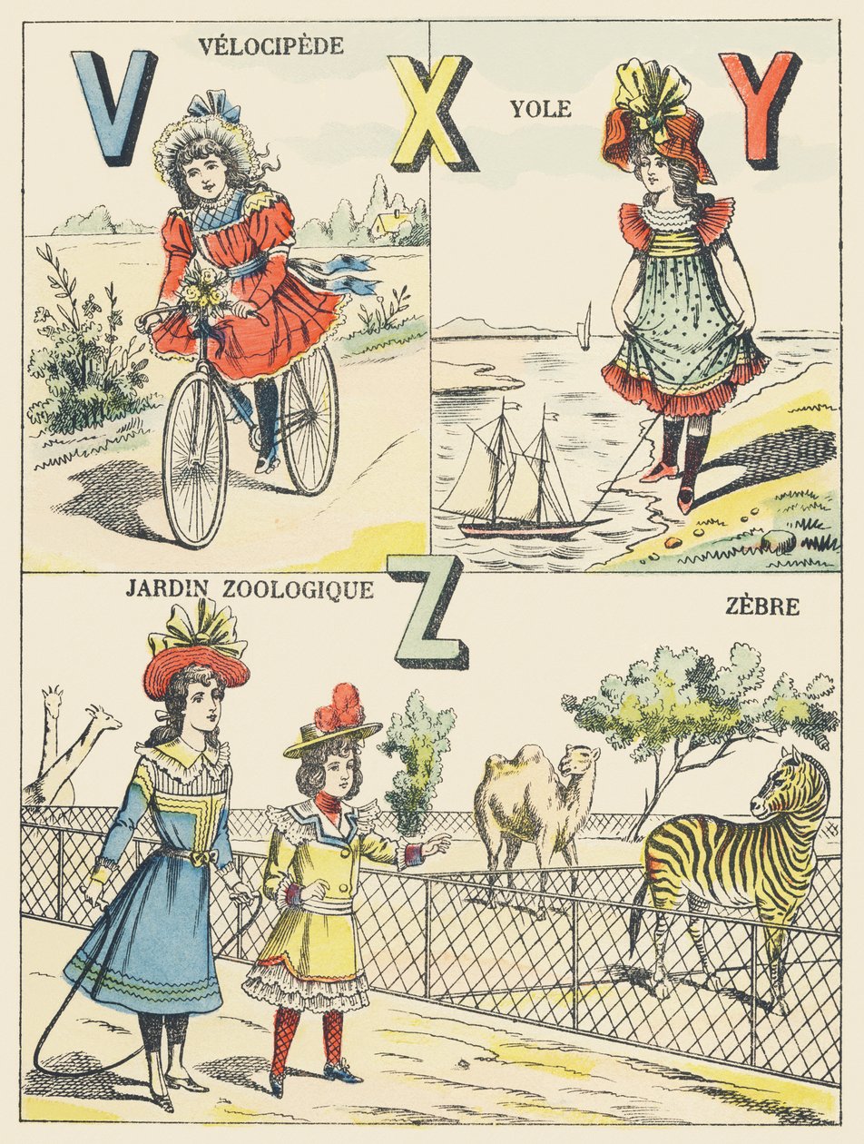 V X Y Z: welocyped, joł, ogród zoologiczny, zebra autorstwa French School