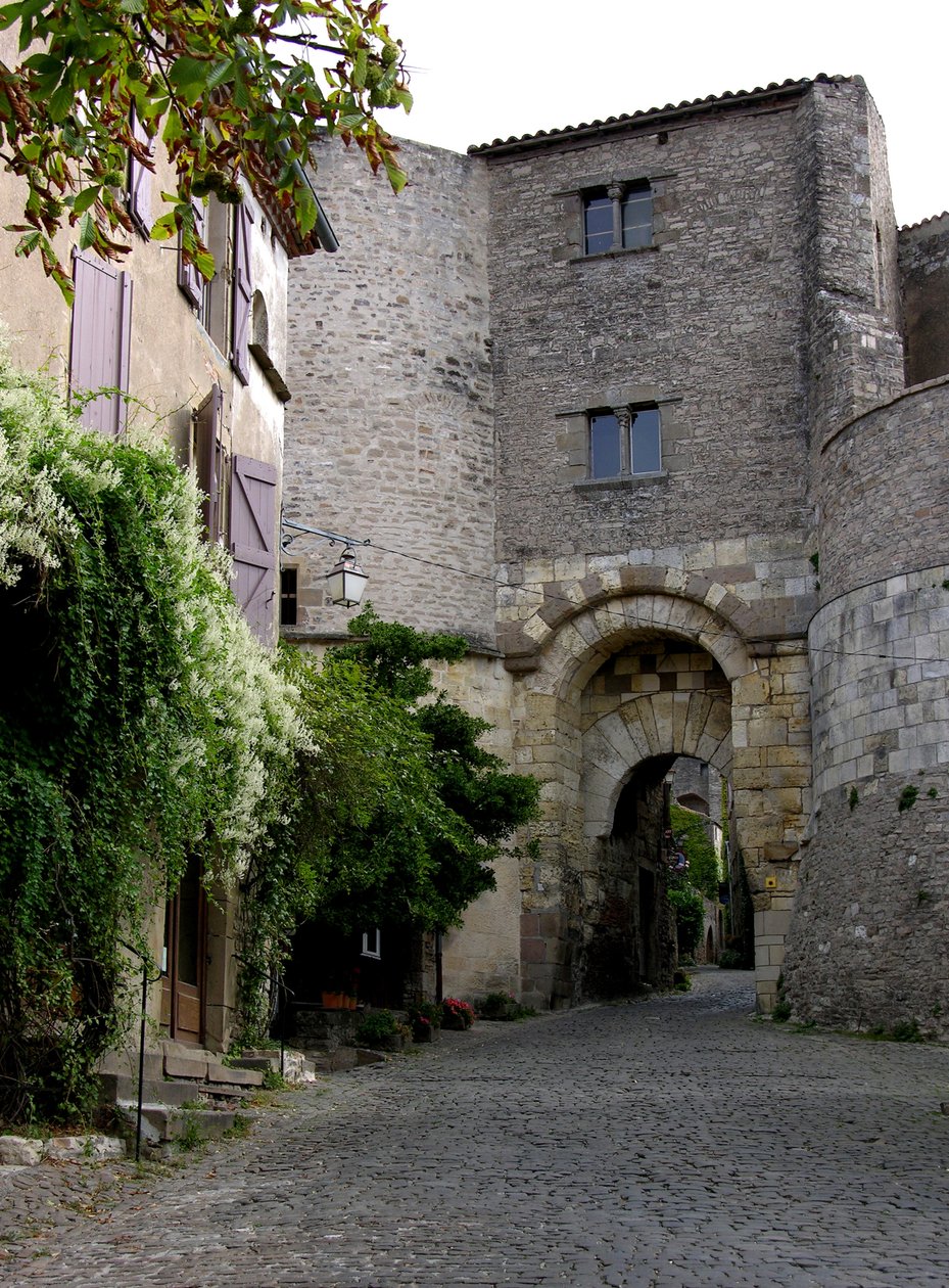 Widok na Porte des Ormeaux autorstwa French School
