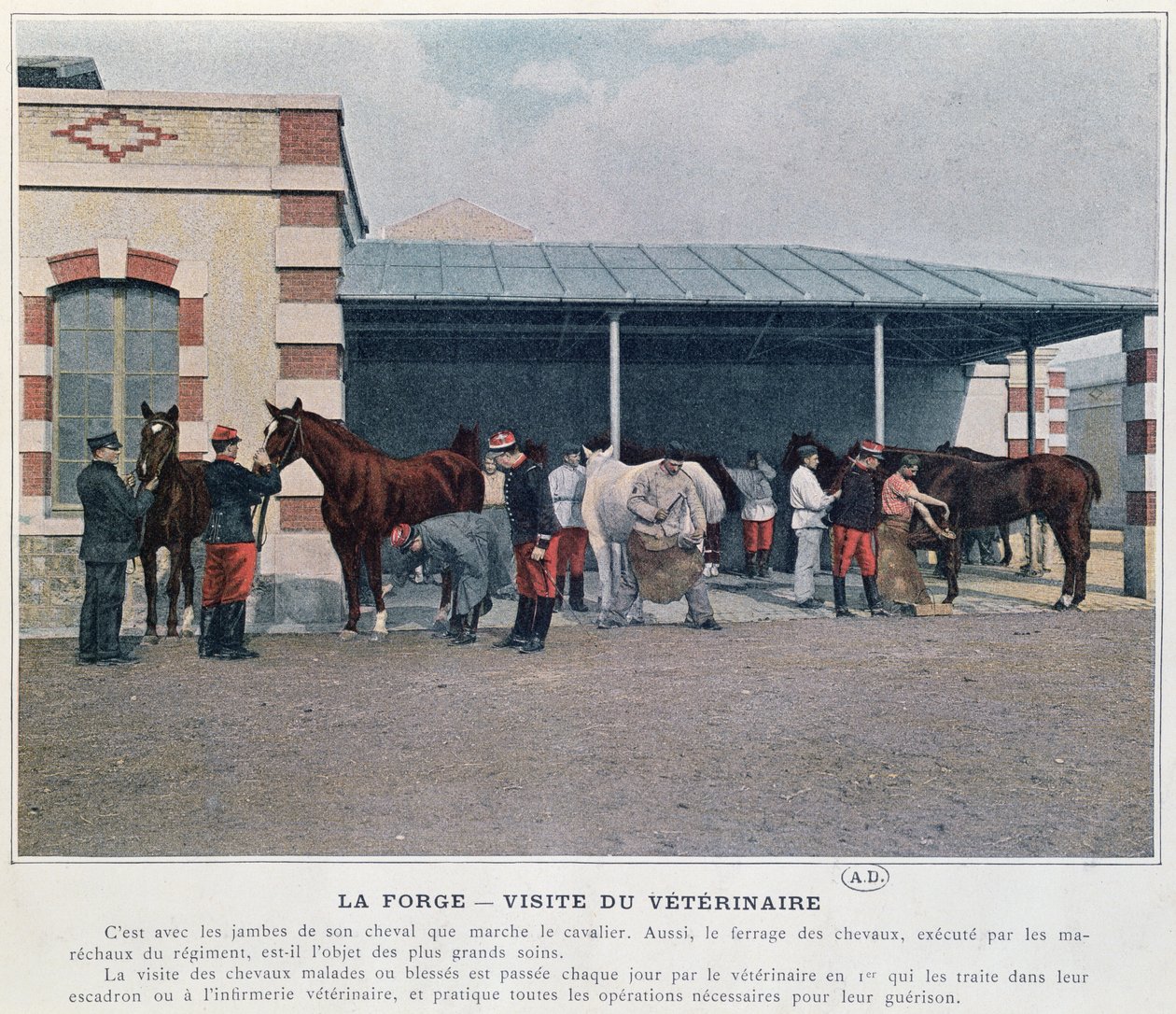 Wizyta weterynarza wojskowego w koszarach, 1897 (kolor lito, wg kolorowego zdjęcia) autorstwa French School