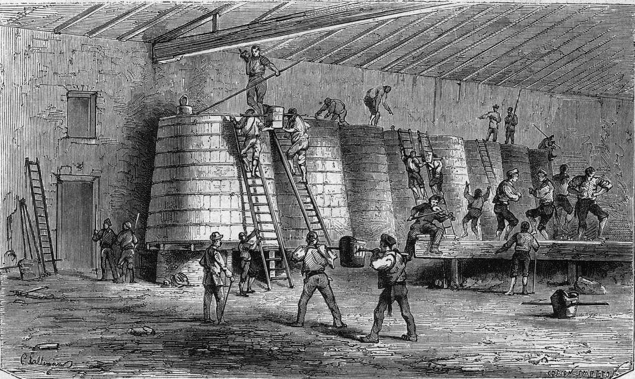 Uprawa winorośli w Medoc: rozdrabnianie i umieszczanie w kadziach. Grawer w „Le Monde Illustre” nr 561 z 11 stycznia 1868 r. autorstwa French School