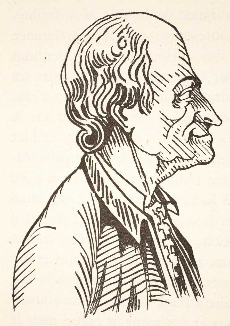 Voltaire, kopia Borisa Mestchersky
