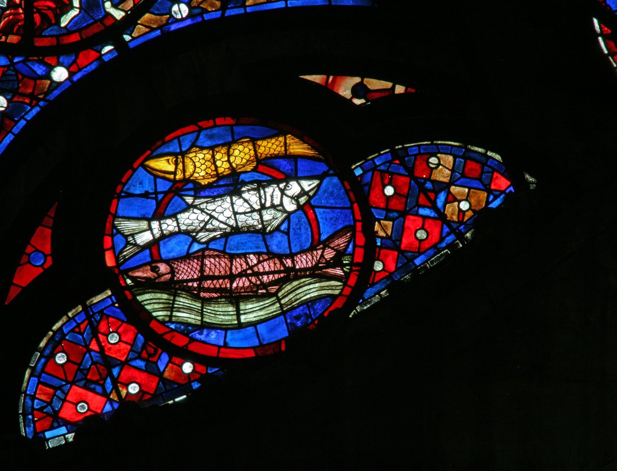 Okno w115 przedstawiające stworzenie ryby autorstwa French School