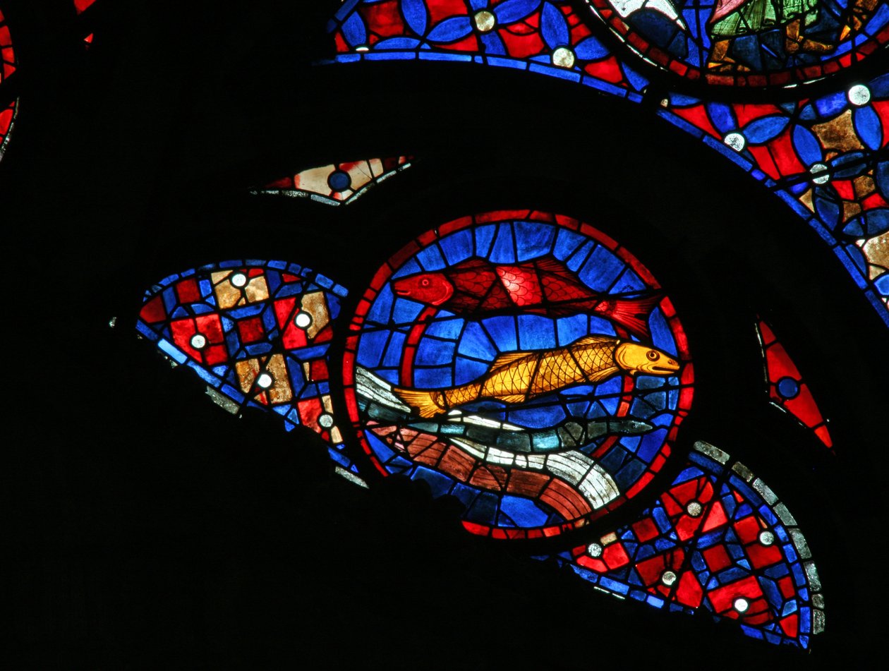 Okno w115 przedstawiające stworzenie ryby autorstwa French School