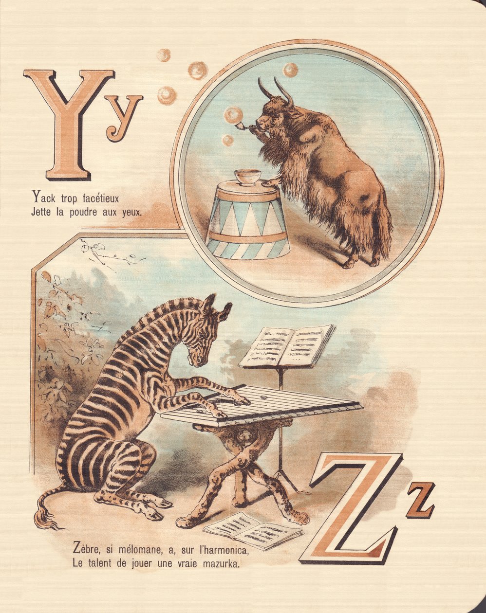 Y Z: Yak, Zebra autorstwa French School