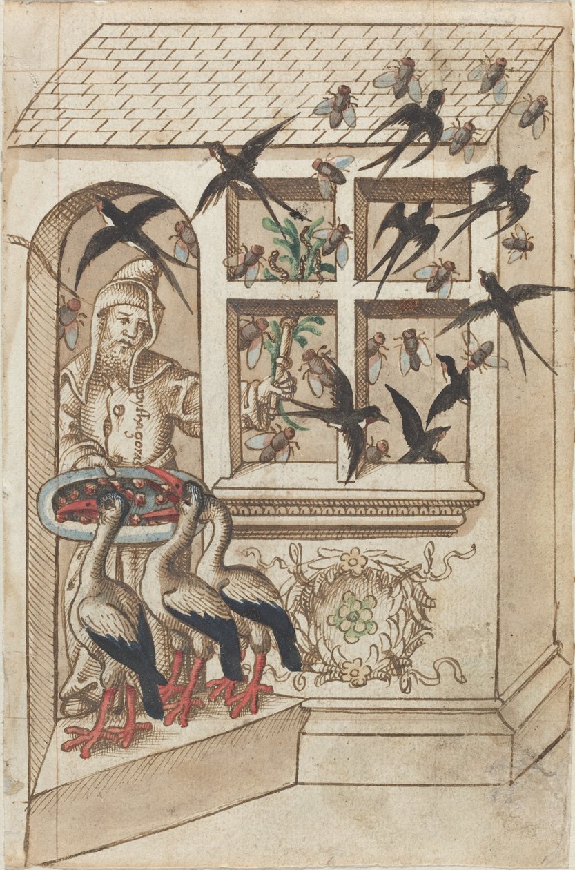„Nie miej jaskółek pod tym samym dachem” [fot. 40 odbytu] autorstwa French early 16th Century