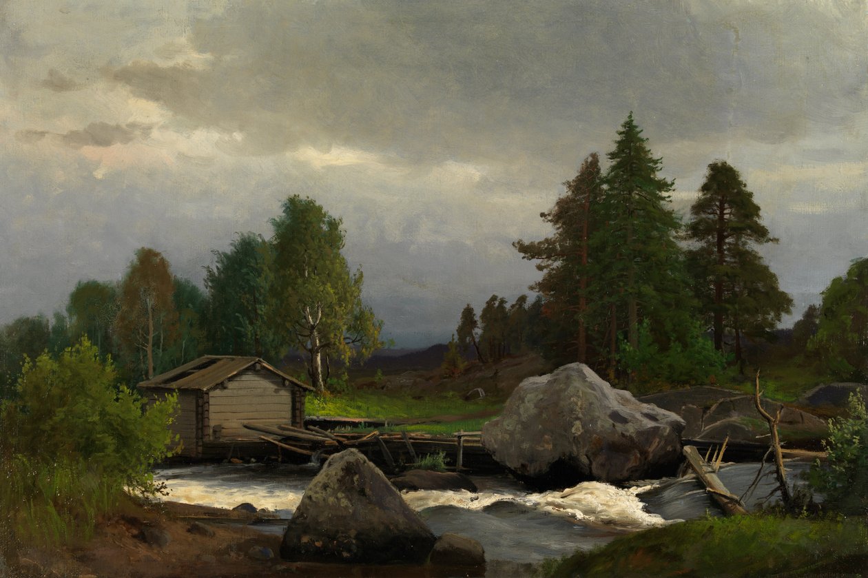 Sorsakoski autorstwa Fridolf Weurlander