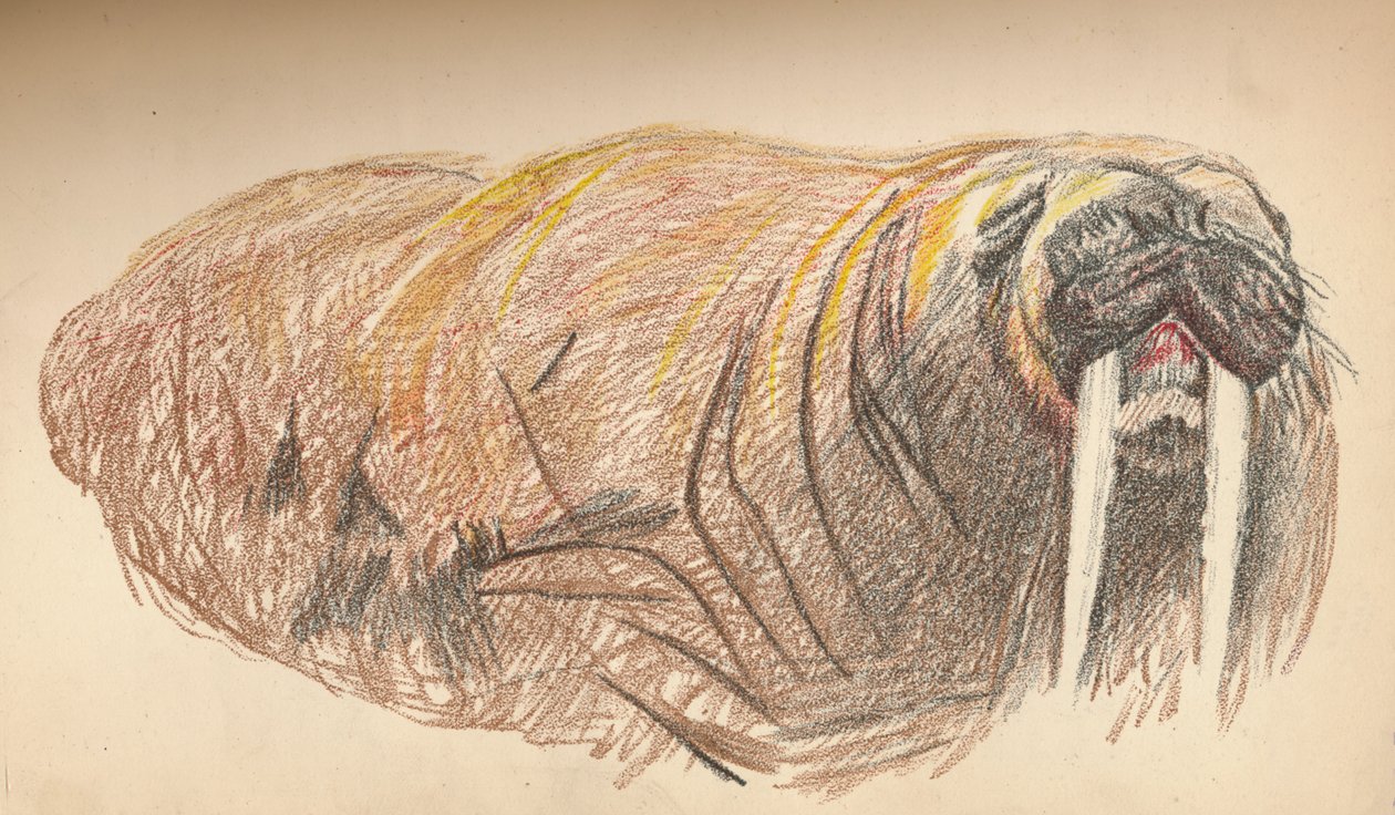 Śpiący i Krzyż, 12 września 1893. Szkic pastelowy, 1893, 1897 autorstwa Fridtjof Nansen