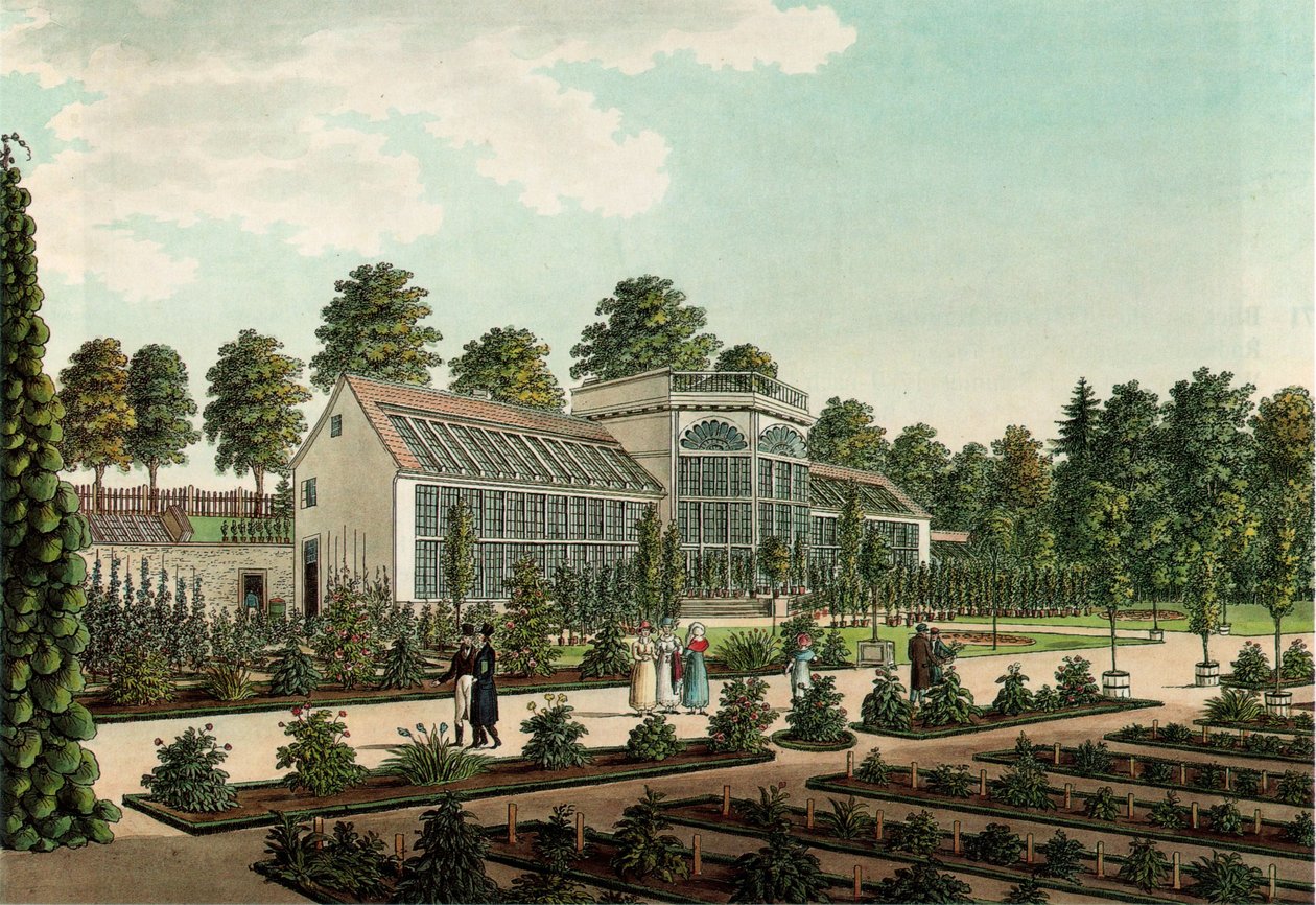 Szklarnia w starym ogrodzie botanicznym w Getyndze, w tle mury miejskie. Kolorowe akwaforty autorstwa Friedrich Besemann