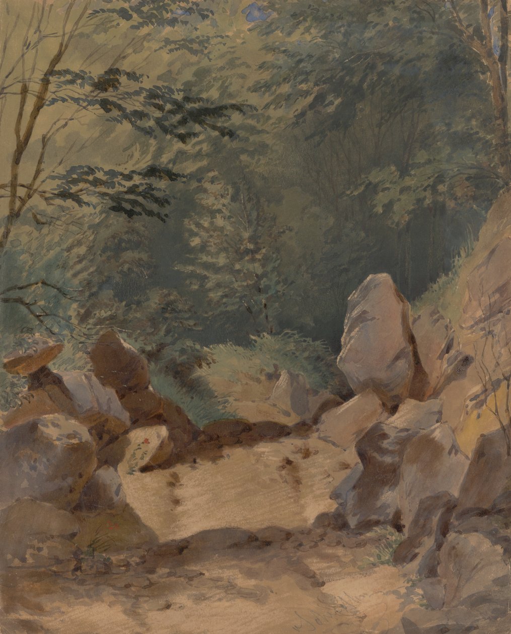 Leśna sceneria ze skałami autorstwa Friedrich Carl von Scheidlin