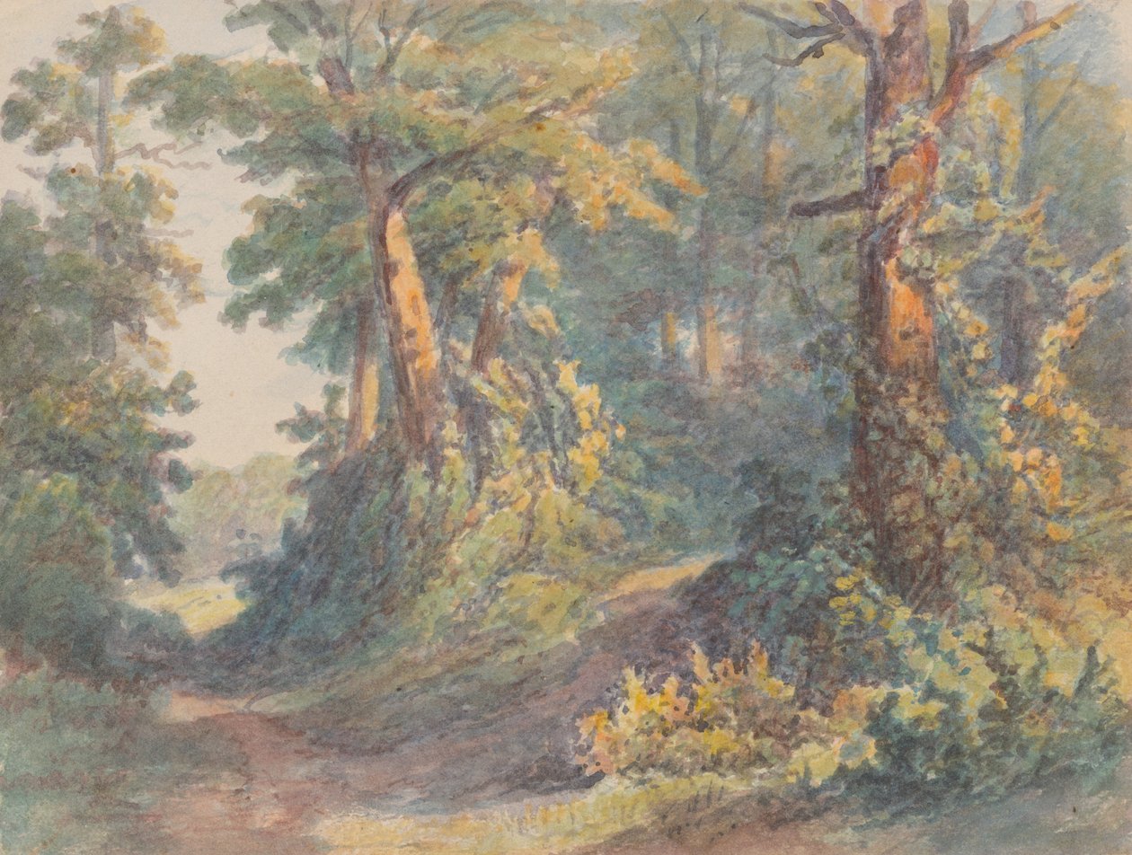 Leśna sceneria autorstwa Friedrich Carl von Scheidlin