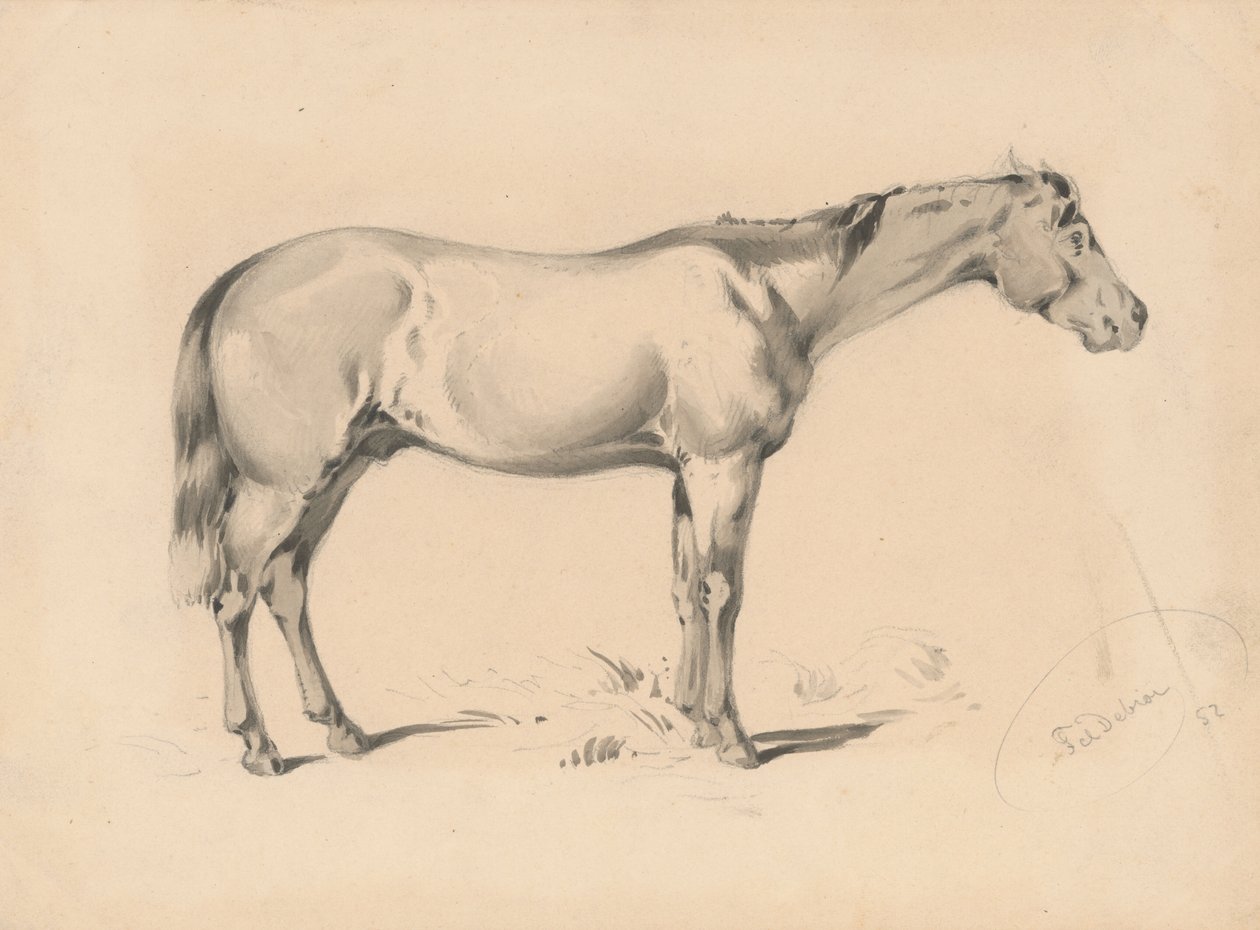 Studium konia I autorstwa Friedrich Carl von Scheidlin